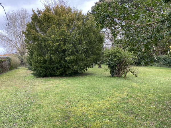 Offres de vente Terrain à batir Le Loroux-Bottereau 44430