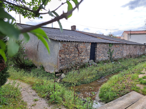 Offres de vente Maison Orée d'Ajou 49270