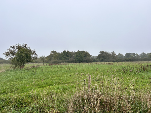 Offres de vente Terrain agricole Le Loroux-Bottereau 44430